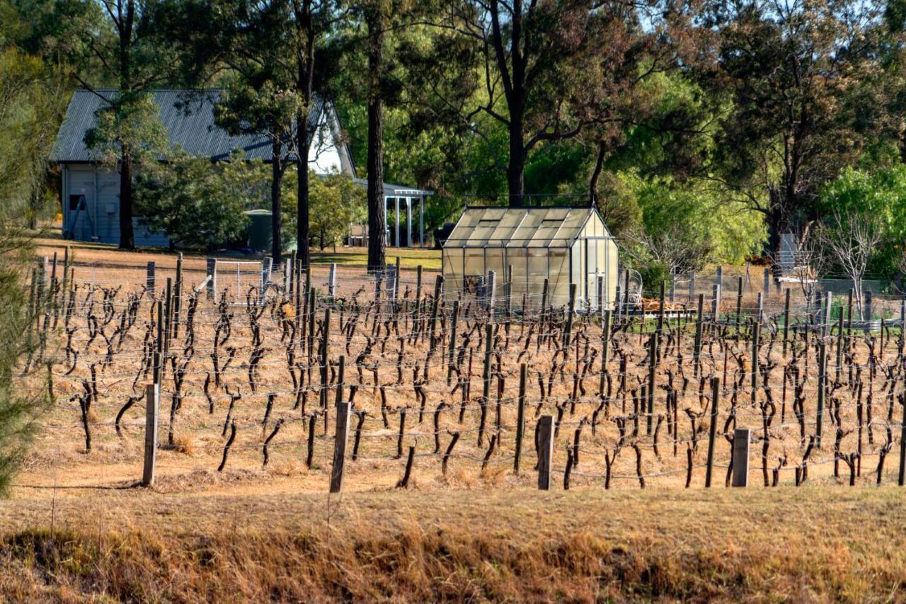 Thistle Hill Guesthouse - Walk To Many Wineries And Restaurants Pokolbin Exterior foto